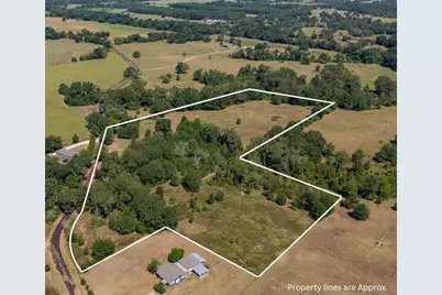 Tbd County Road 320, Centerville, TX 75833 - Photo 13