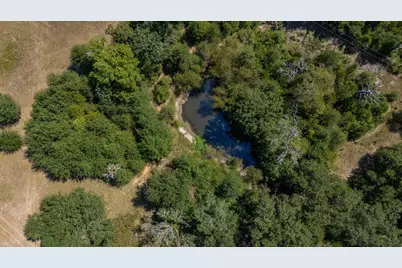 Tbd County Road 320, Centerville, TX 75833 - Photo 5