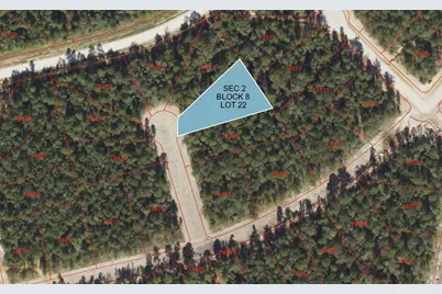 108 Romantic Dreams Court, New Waverly, TX 77358 - Photo 1