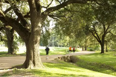 5312 Blossom St, Houston, TX 77007 - Photo 27
