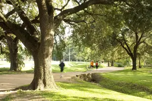 5312 Blossom St, Houston, TX 77007 - Photo 27
