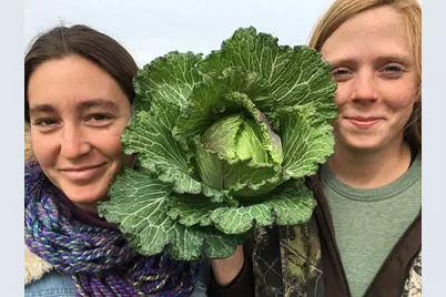 410 Apple Core Way, Richmond, TX 77406 - Photo 19