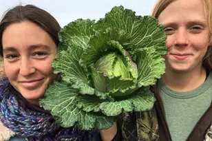 410 Apple Core Wy, Richmond, TX 77406 - Photo 19