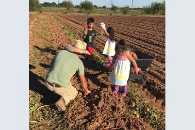 410 Apple Core Way, Richmond, TX 77406 - Photo 27