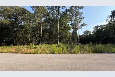 225 County Road 6311, Dayton, TX 77535 - Photo 1
