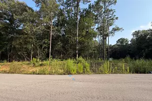 225 County Rd 6311, Dayton, TX 77535 - Photo 1