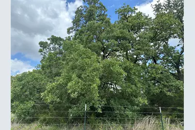 0000 County Road 133, Giddings, TX 78942 - Photo 5
