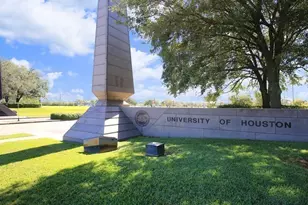 4375 Faculty Ln, Houston, TX 77004 - Photo 21