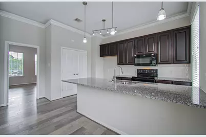 1743 Dominica Drive, Houston, TX 77345 - Photo 19