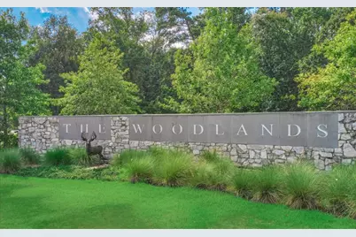 66 Driftoak Circle, The Woodlands, TX 77381 - Photo 39