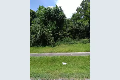 0 Gunter Street, Houston, TX 77020 - Photo 3