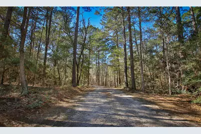 1142 Fletcher, Anderson, TX 77830 - Photo 5