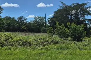 Lots 1-10 Blk 418 2nd, Hempstead, TX 77445 - Photo 1