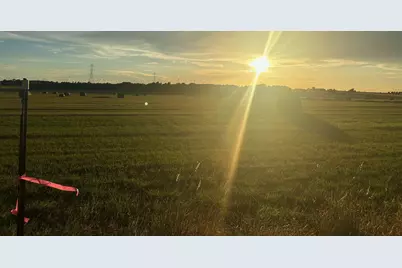 8038 Ohnheiser Kaase Road, La Grange, TX 78945 - Photo 5