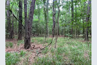 00 Wilderness Road, Point Blank, TX 77364 - Photo 15