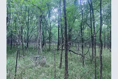 00 Wilderness Road, Point Blank, TX 77364 - Photo 3