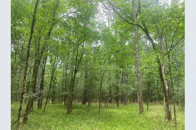 00 Wilderness Road, Point Blank, TX 77364 - Photo 5