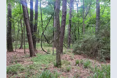 00 Wilderness Road, Point Blank, TX 77364 - Photo 9