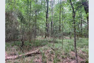 00 Wilderness Road, Point Blank, TX 77364 - Photo 11