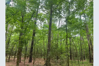 00 Wilderness Road, Point Blank, TX 77364 - Photo 7
