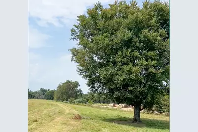 0046 Fm 2548 E, Midway, TX 75852 - Photo 3