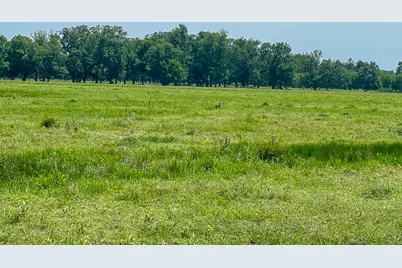 0046 Fm 2548 E, Midway, TX 75852 - Photo 5