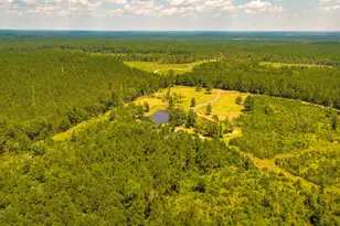 375 Co Rd 3560, Woodville, TX 75979 - Photo 33