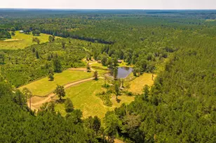 375 Co Rd 3560, Woodville, TX 75979 - Photo 31