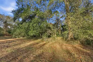 12108 N Lakewood Dr, Splendora, TX 77372 - Photo 13