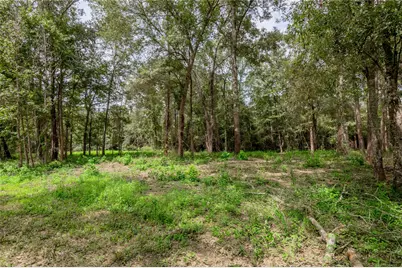 109 Buffalo Subdivision, Livingston, TX 77351 - Photo 31