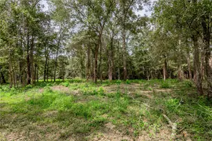 109 Buffalo Subdivision, Livingston, TX 77351 - Photo 31