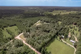 109 Buffalo Subdivision, Livingston, TX 77351 - Photo 39