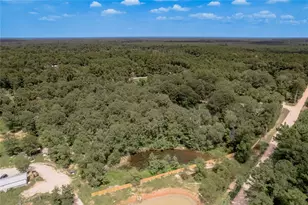 109 Buffalo Subdivision, Livingston, TX 77351 - Photo 41