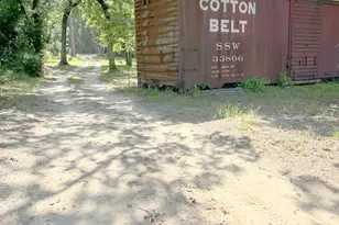 359 Salmon Lake Rd, Grapeland, TX 75844 - Photo 29