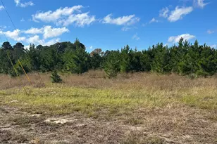 359 Salmon Lake Rd, Grapeland, TX 75844 - Photo 39