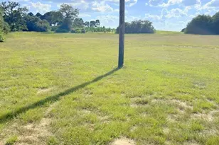 359 Salmon Lake Rd, Grapeland, TX 75844 - Photo 43