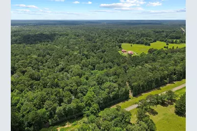 962 Fm 256 E, Woodville, TX 75979 - Photo 49