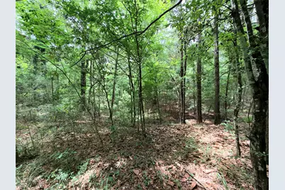 962 Fm 256 E, Woodville, TX 75979 - Photo 39