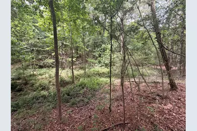 962 Fm 256 E, Woodville, TX 75979 - Photo 5