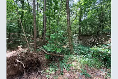 962 Fm 256 E, Woodville, TX 75979 - Photo 17