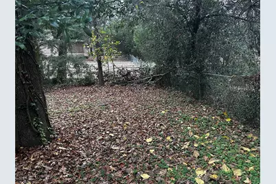 321 Olive Street, Huntsville, TX 77340 - Photo 5
