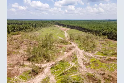 R53358 Hwy 94, Apple Springs, TX 75926 - Photo 9