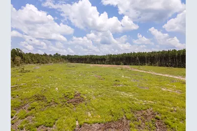 R53358 Hwy 94, Apple Springs, TX 75926 - Photo 7