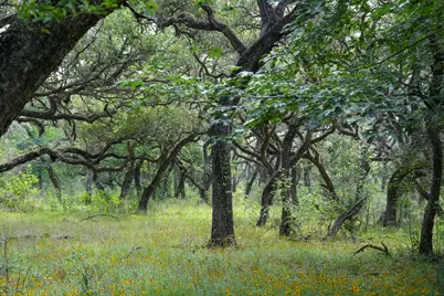 Lot 29 Shorebird Lane, Columbus, TX 78934 - Photo 11
