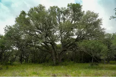 Lot 29 Shorebird Lane, Columbus, TX 78934 - Photo 15