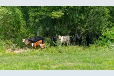 41115 Community Road, Magnolia, TX 77354 - Photo 27