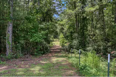 14909 Pine Tree Road, Montgomery, TX 77356 - Photo 41