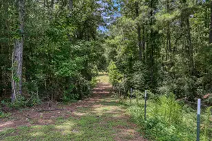 14909 Pine Tree Rd, Montgomery, TX 77356 - Photo 41