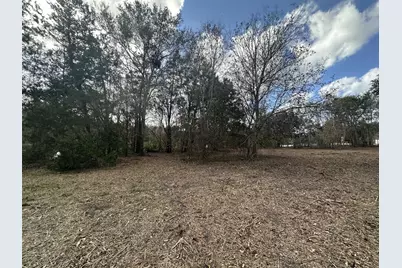 0 County Road 244A, Brazoria, TX 77422 - Photo 5