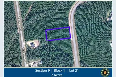 16245 Ridge Oak Road, Willis, TX 77378 - Photo 1